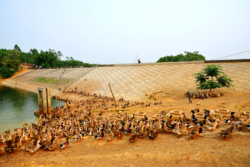 环亚集团·AG88(中国游)官方网站