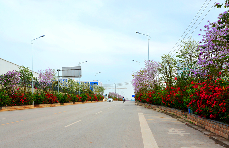 环亚集团·AG88(中国游)官方网站