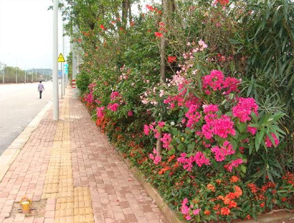 环亚集团·AG88(中国游)官方网站