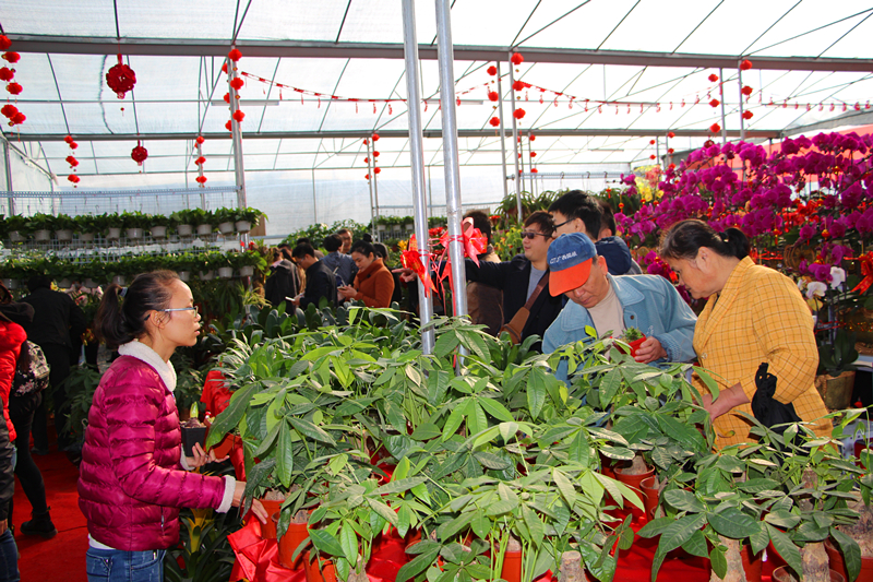 环亚集团·AG88(中国游)官方网站