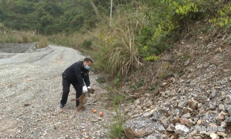 环亚集团·AG88(中国游)官方网站