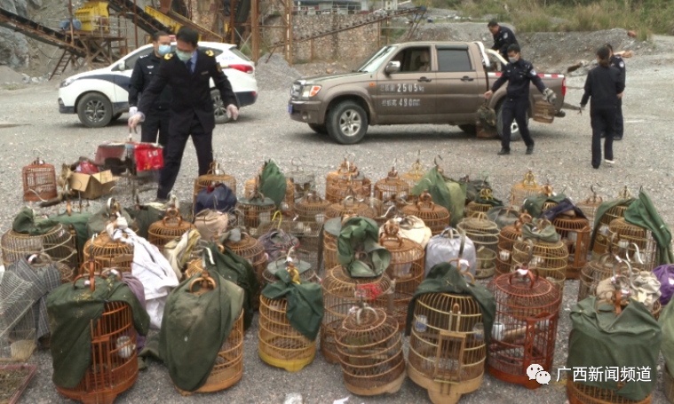 环亚集团·AG88(中国游)官方网站