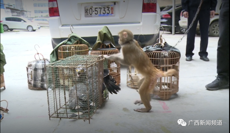 环亚集团·AG88(中国游)官方网站