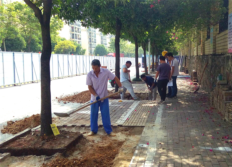 环亚集团·AG88(中国游)官方网站